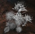 far-cry-primal-südpurpurblatt far-cry-primal-südpurpurblatt