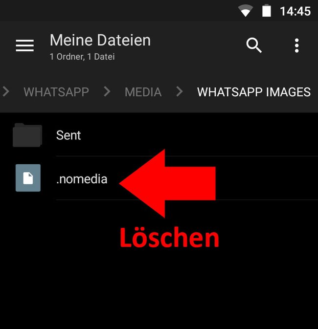 Diese Datei sollte nicht im WhatsApp-Images-Ordner sein Diese Datei sollte nicht im WhatsApp-Images-Ordner sein