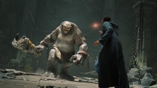 Hogwarts Legacy: Entwickler fällt schwere Entscheidung zum Wohle der Fans