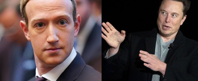 Rückzieher! Showkampf Musk vs Zuckerberg fällt wohl aus